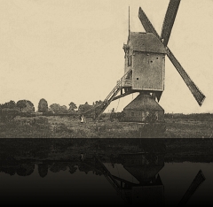 Zoersel Molen op Kievitsheide 1260